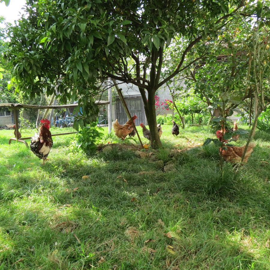 Agroturismo La Casona De Belmonte Ovinana  Ngoại thất bức ảnh