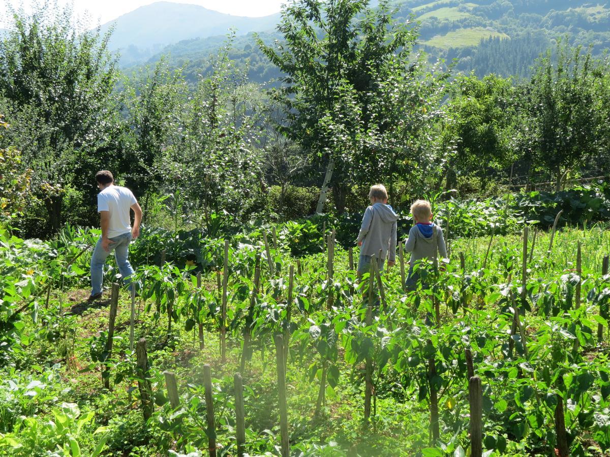 Agroturismo La Casona De Belmonte Ovinana  Ngoại thất bức ảnh